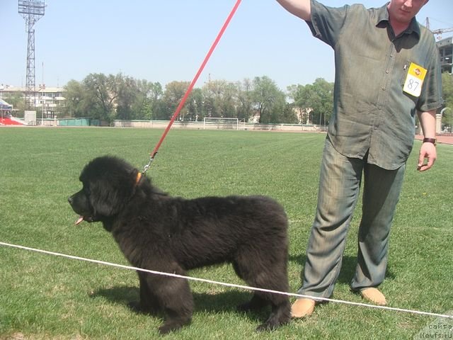 Фотография № 64400