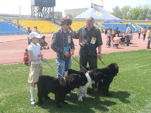 Фотография № 64401