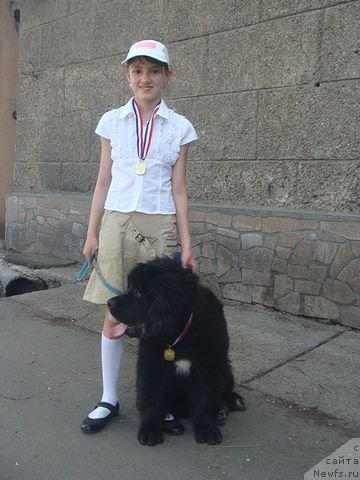 Фотография № 64402