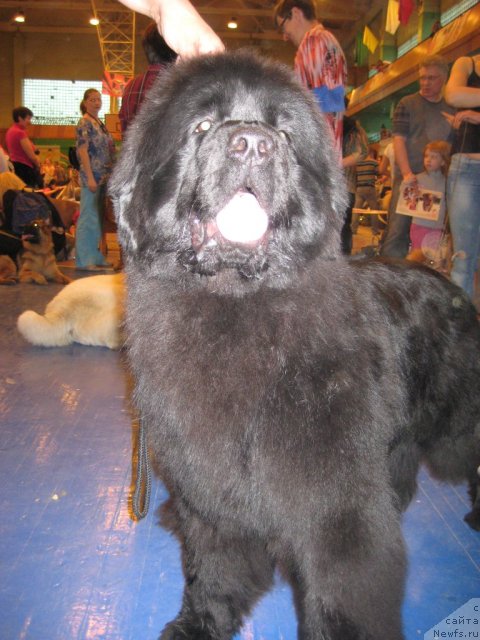 Фотография № 64407