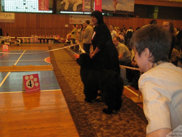 Фотография № 64408