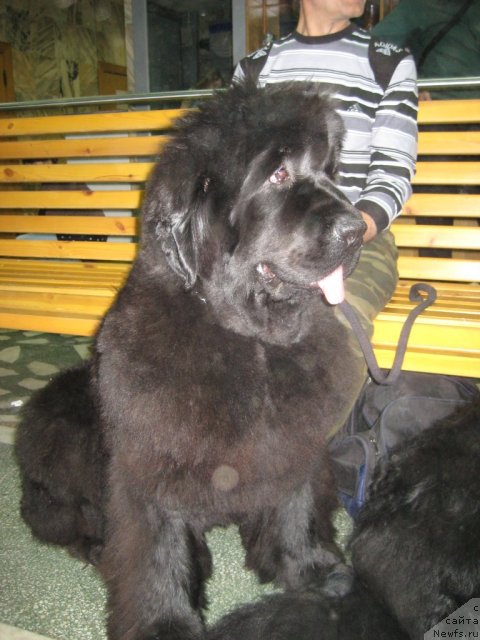 Фотография № 64410