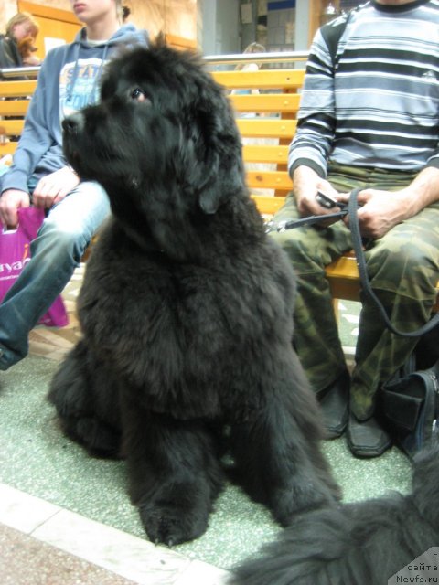 Фотография № 64414