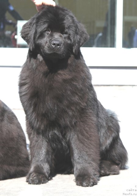 Фотография № 64418