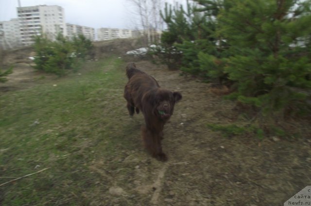 Фотография № 64432