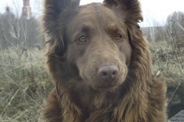 Фотография № 64433