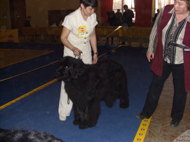 Фотография № 64436