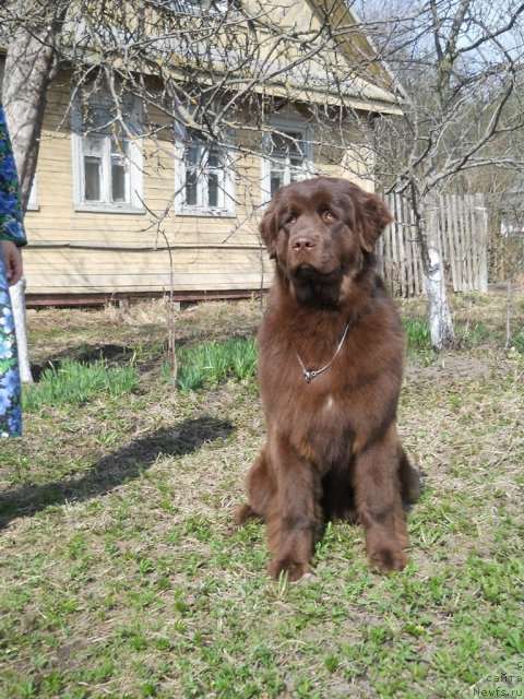 Фотография № 64452