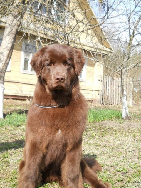 Фотография № 64453