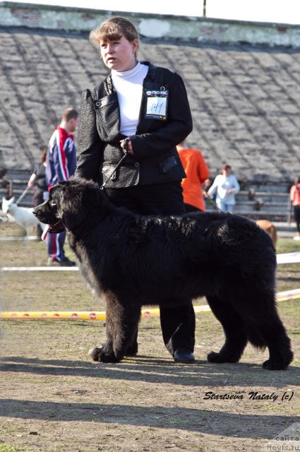 Фото: Фиаметтахауз Нат