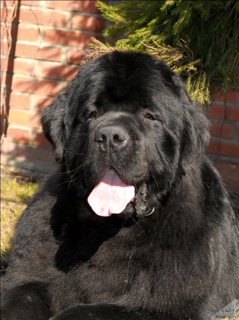 Фотография № 64483