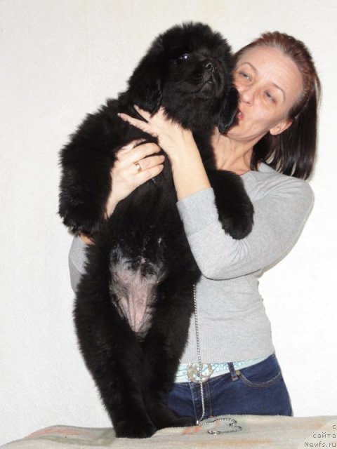 Фото: Бегущая по волнам Дансинг Квин, Ol'ga Koroleva (Ольга Королева)