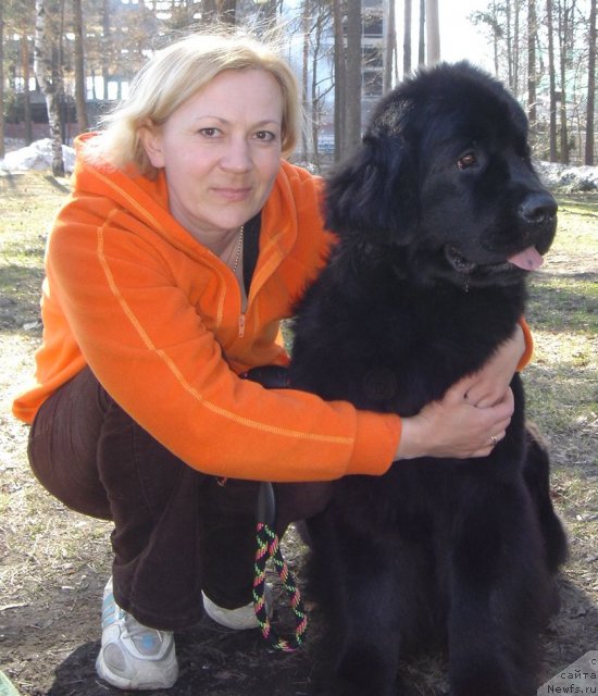 Фото: [d10575] владелица Иванова Светлана