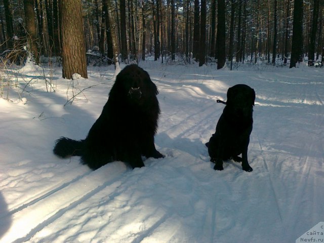 Фотография № 64585