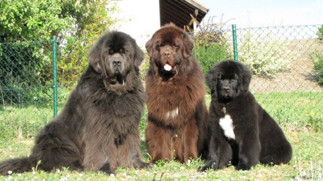 Фотография № 64608