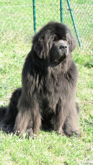 Фотография № 64610