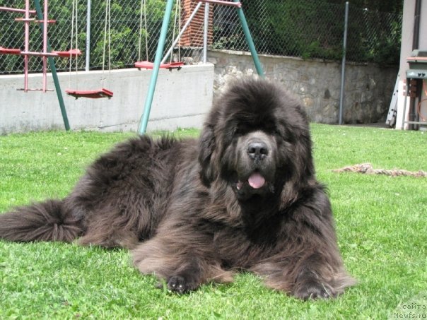 Фотография № 64613