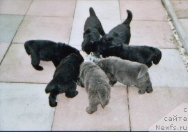 Фотография № 64614