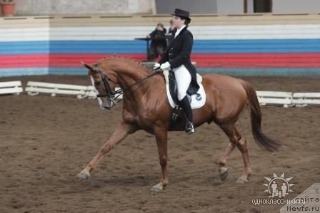 Фотография № 64641