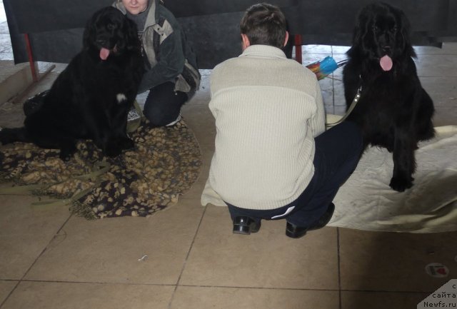 Фотография № 64686