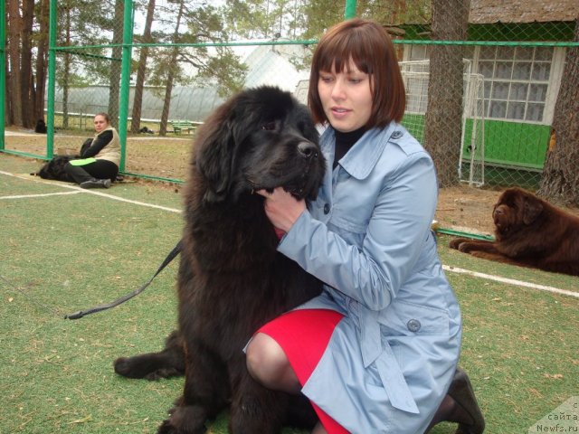 Фотография № 64740