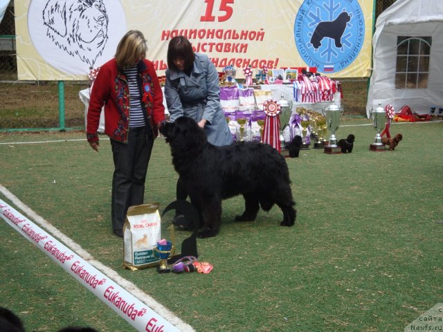 Фотография № 64741