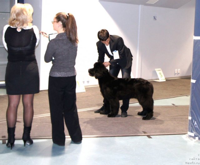 Фотография № 64789