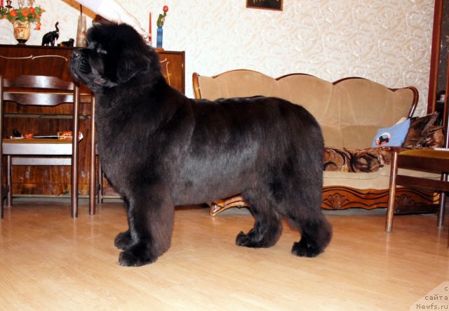 Фотография № 64797