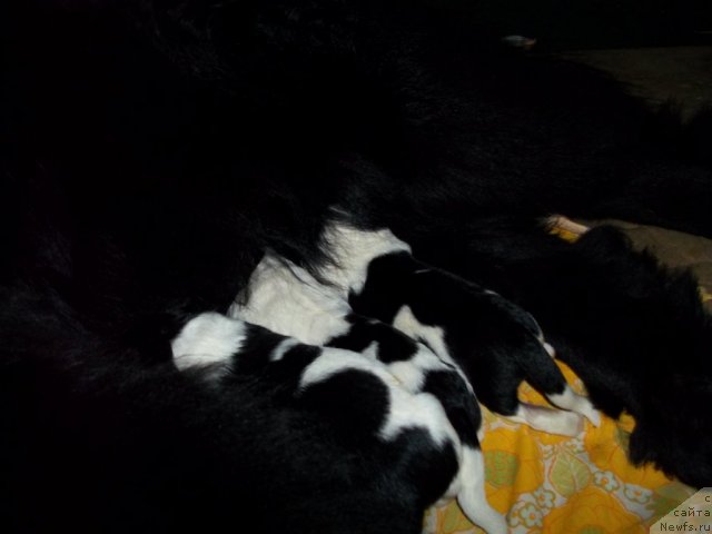 Фотография № 64834