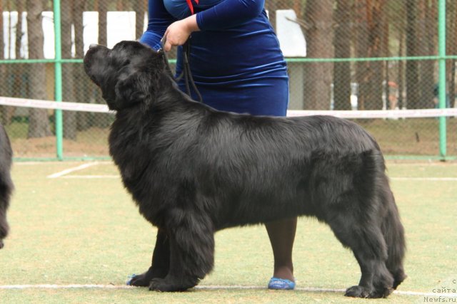 Фотография № 64838