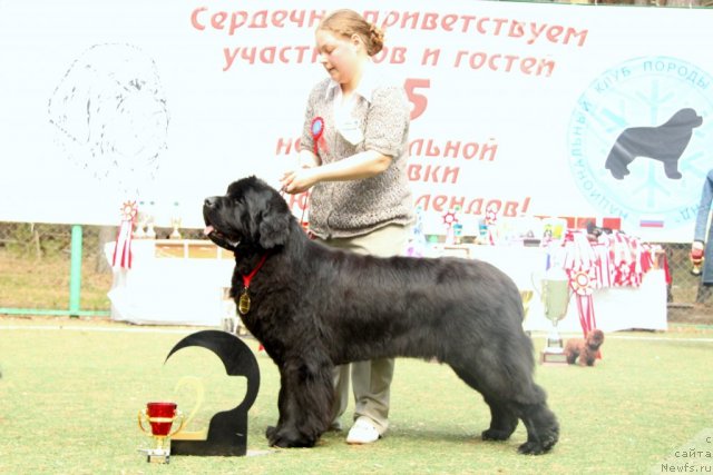 Фотография № 64841