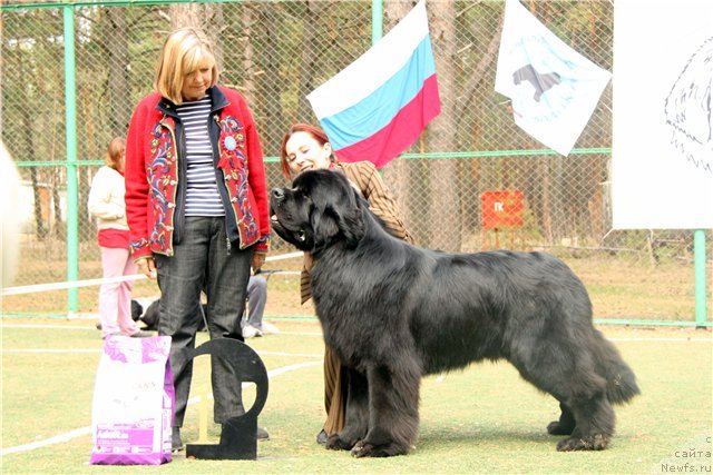 Фотография № 64842