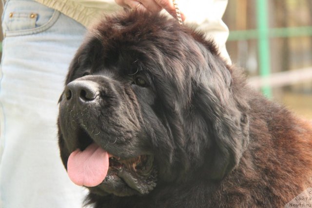 Фотография № 64844