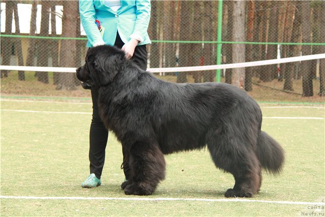 Фотография № 64849