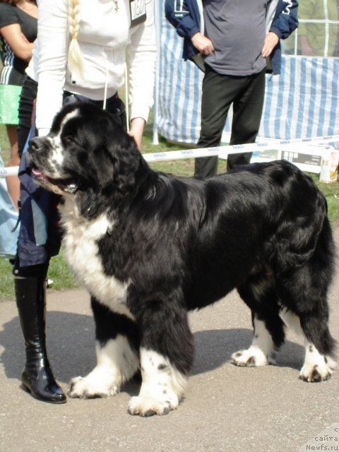 Фотография № 64866