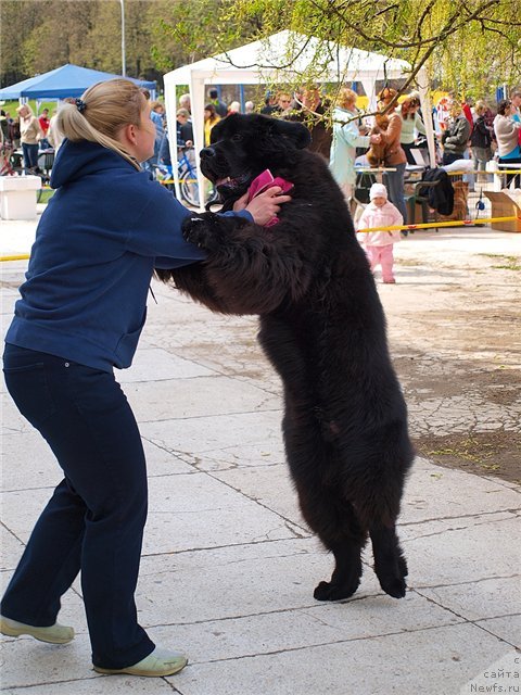 Фотография № 64868