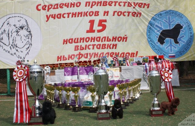 Фотография № 64877