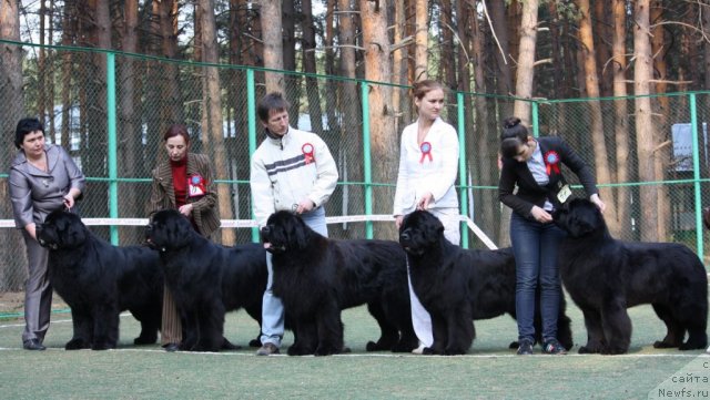 Фотография № 64885