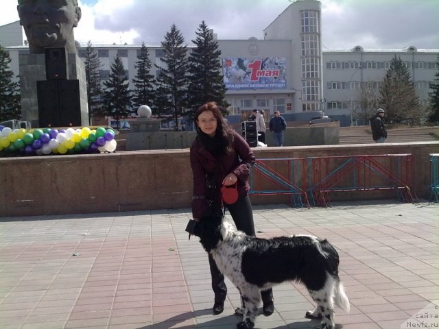 Фотография № 64892