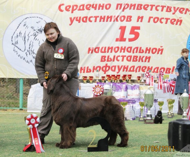 Фотография № 64963