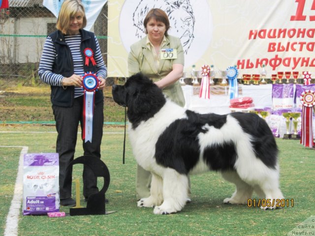 Фотография № 64972