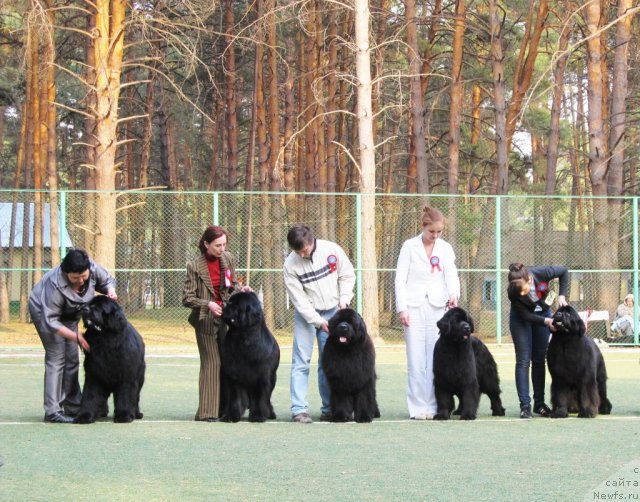 Фото: Tat'yana Abutova (Татьяна Абутова)