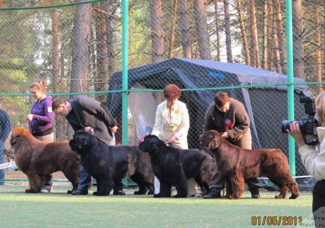 Фотография № 64994