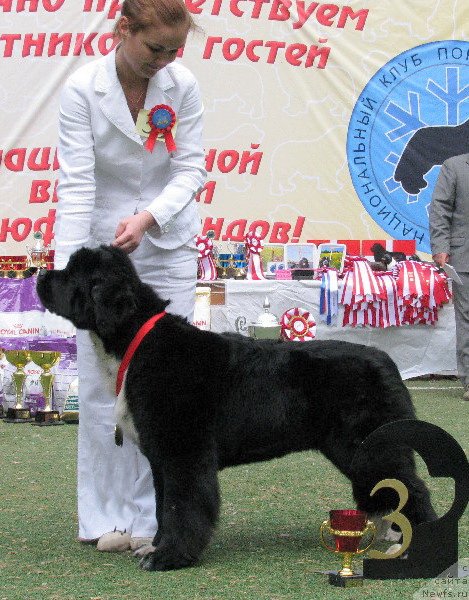 Фотография № 65008