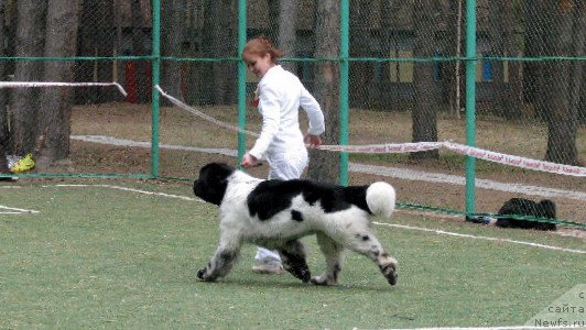 Фотография № 65010