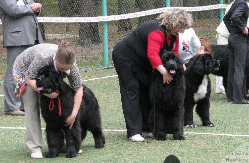 Фотография № 65011