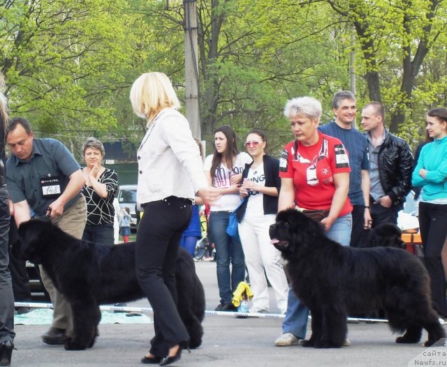 Фотография № 65014