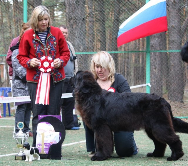 Фотография № 65027