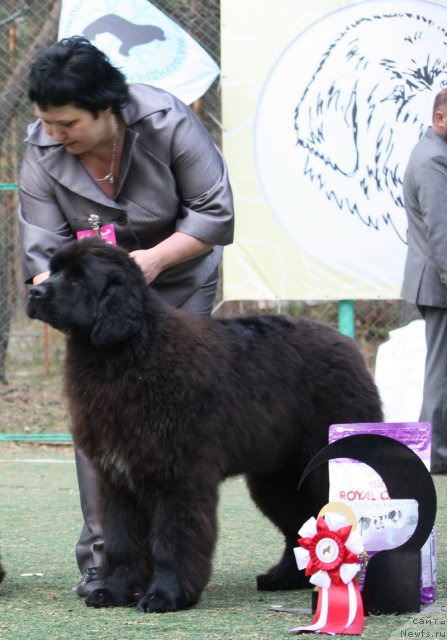 Фотография № 65028