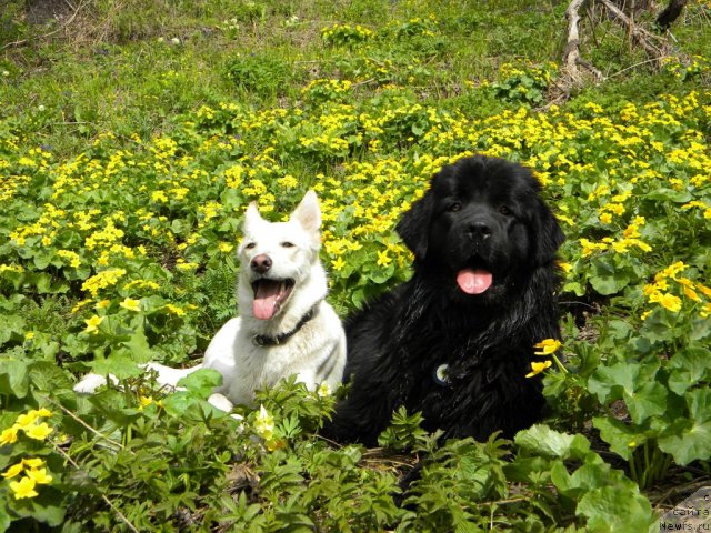 Фотография № 65038